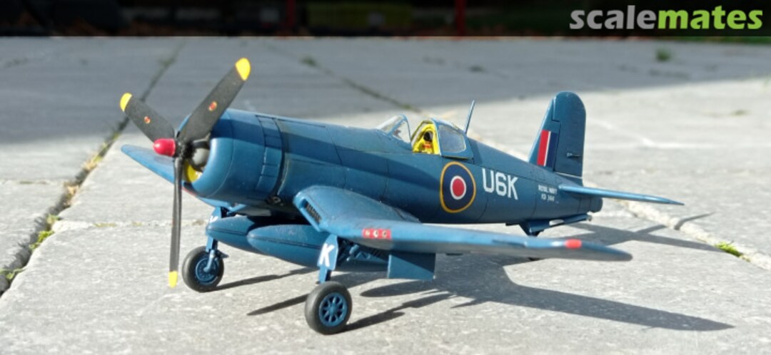 View album, image #1 View album, image #1