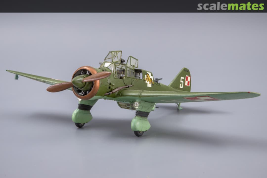 View album, image #1