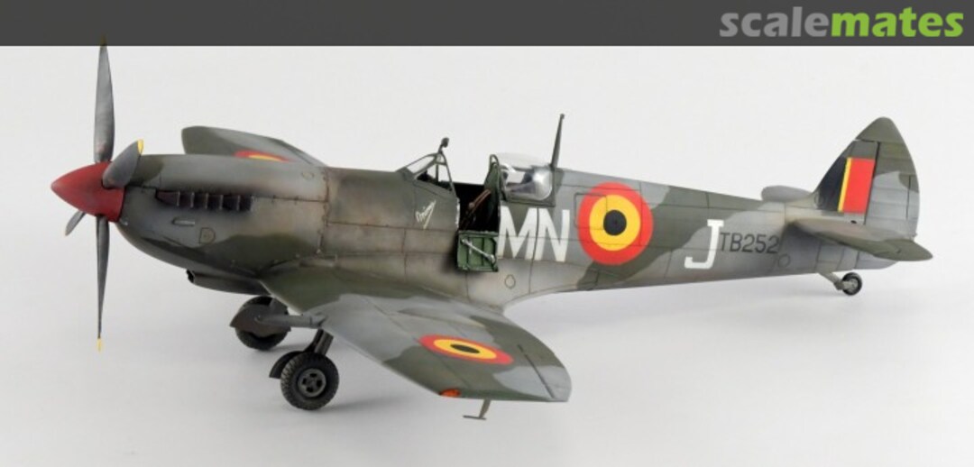 View album, image #1