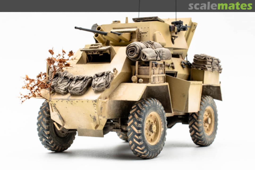 View album, image #1 View album, image #1