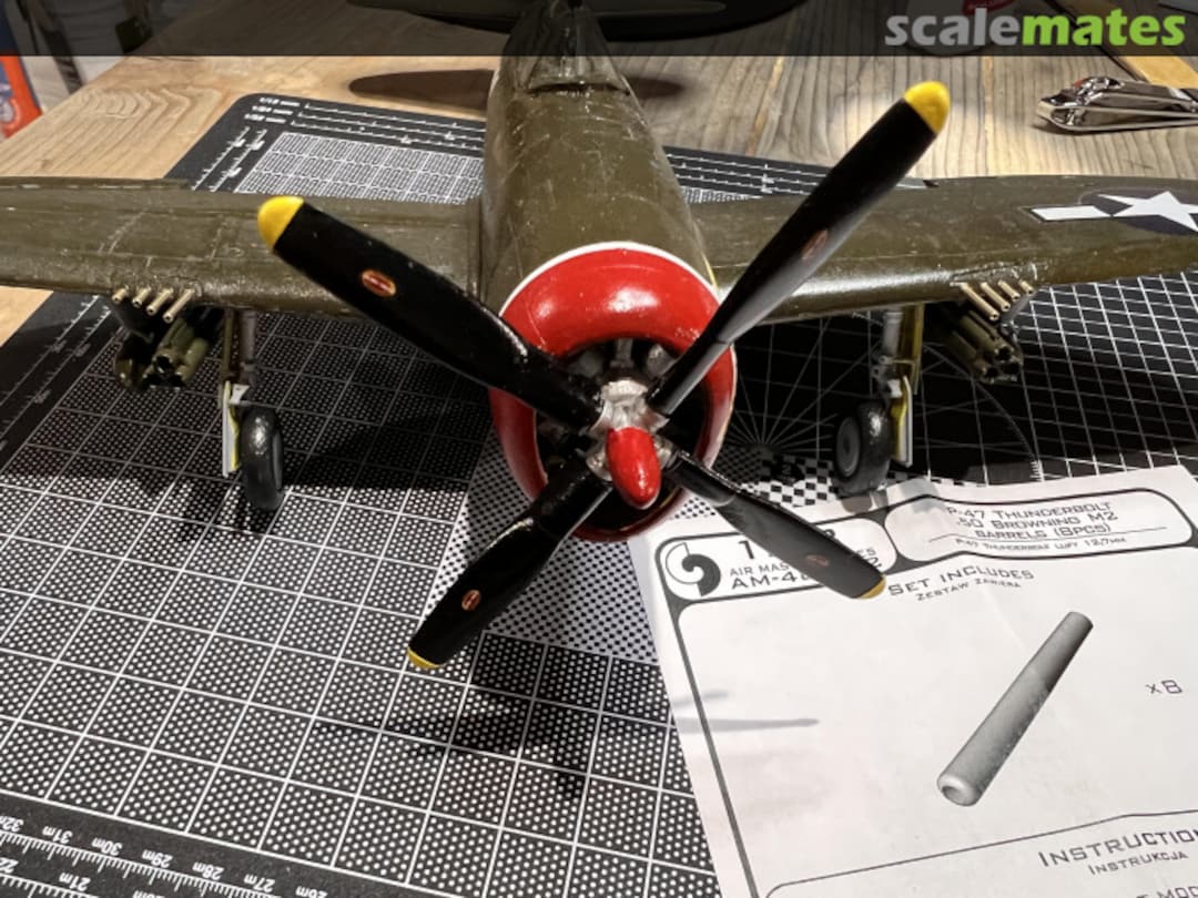 View album, image #6 View album, image #6