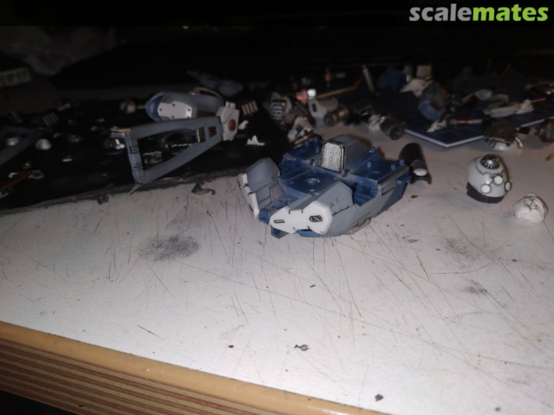 View album, image #1