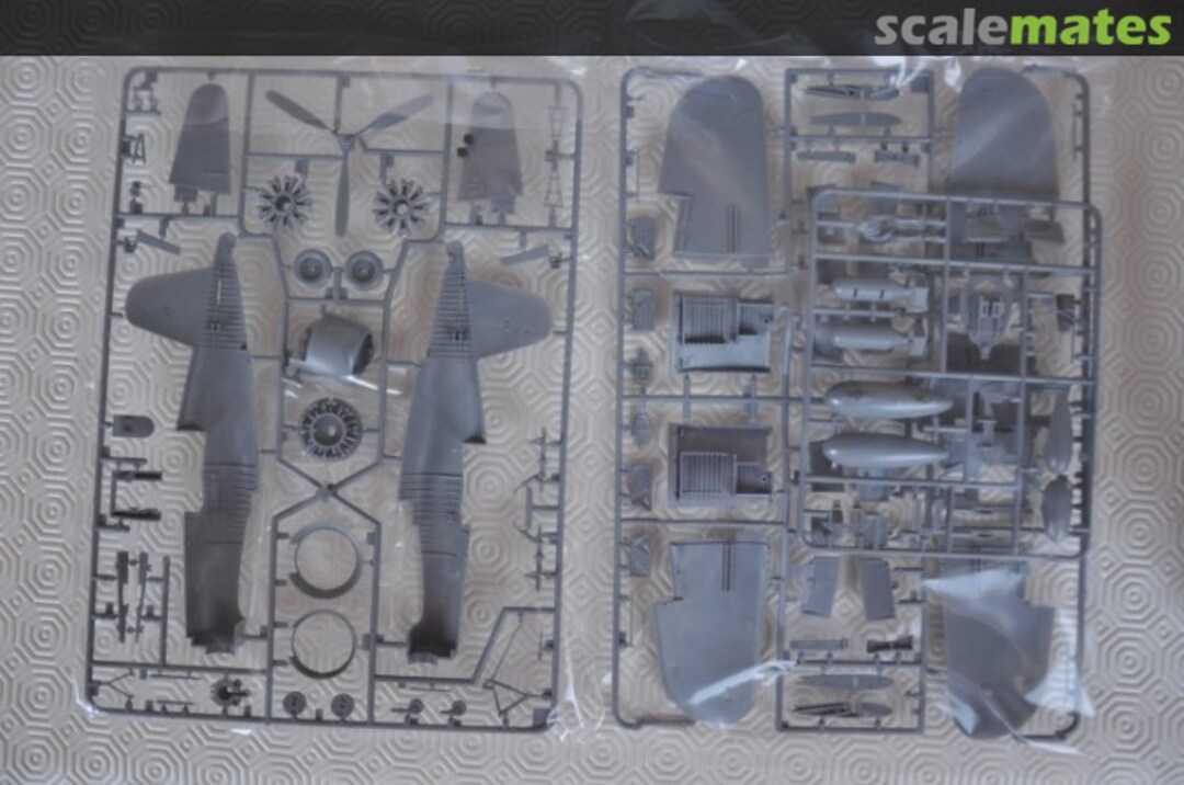 View album, image #1 View album, image #1