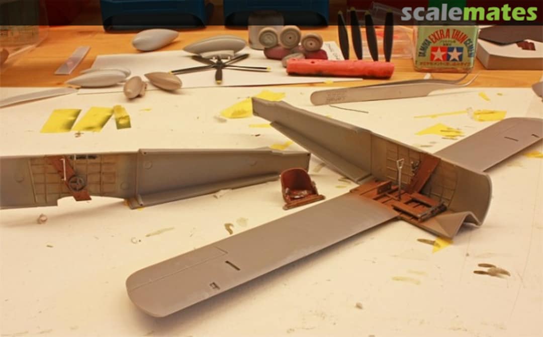 View album, image #1 View album, image #1