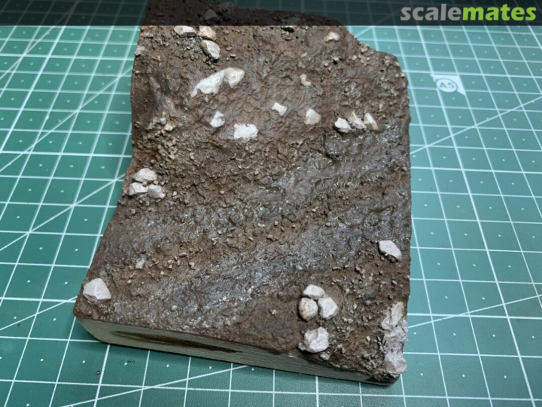 View album, image #8 View album, image #8