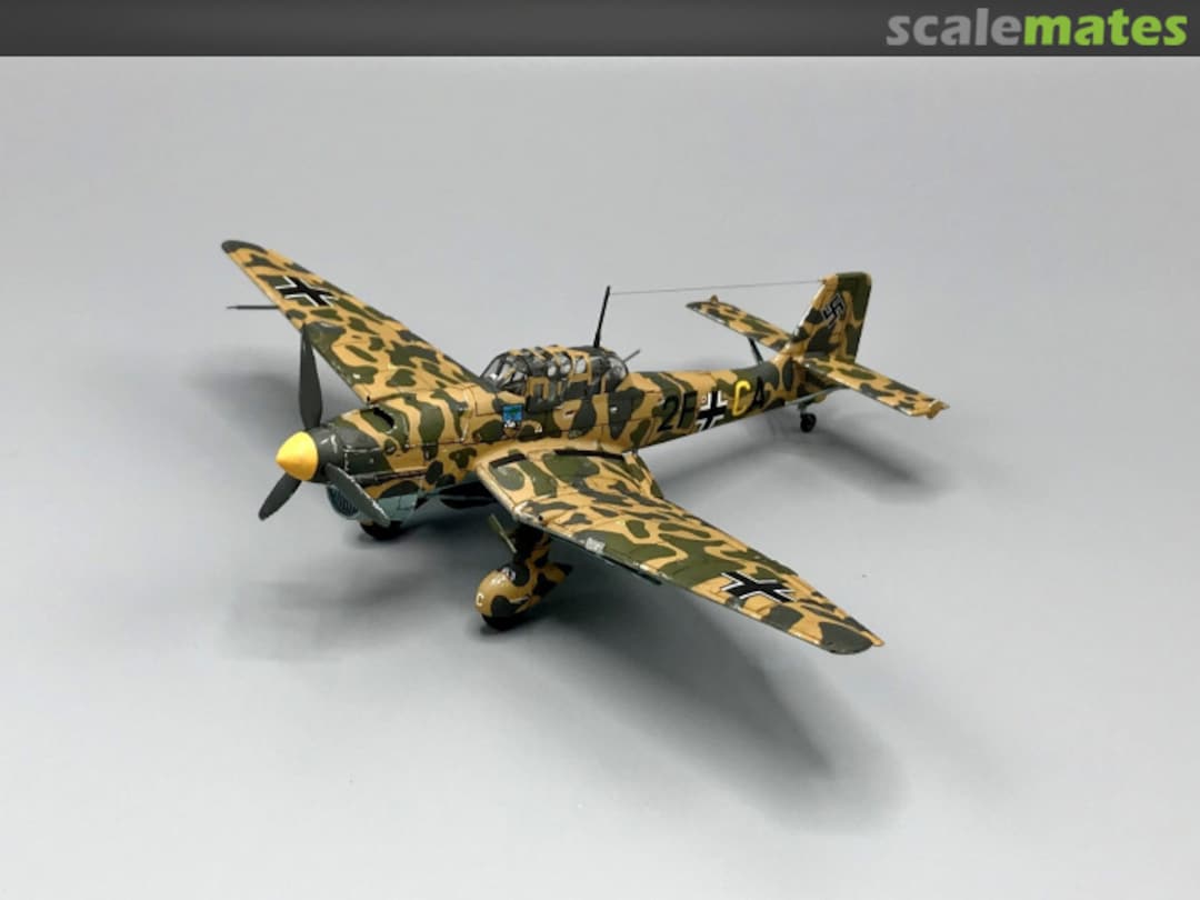 View album, image #1 View album, image #1