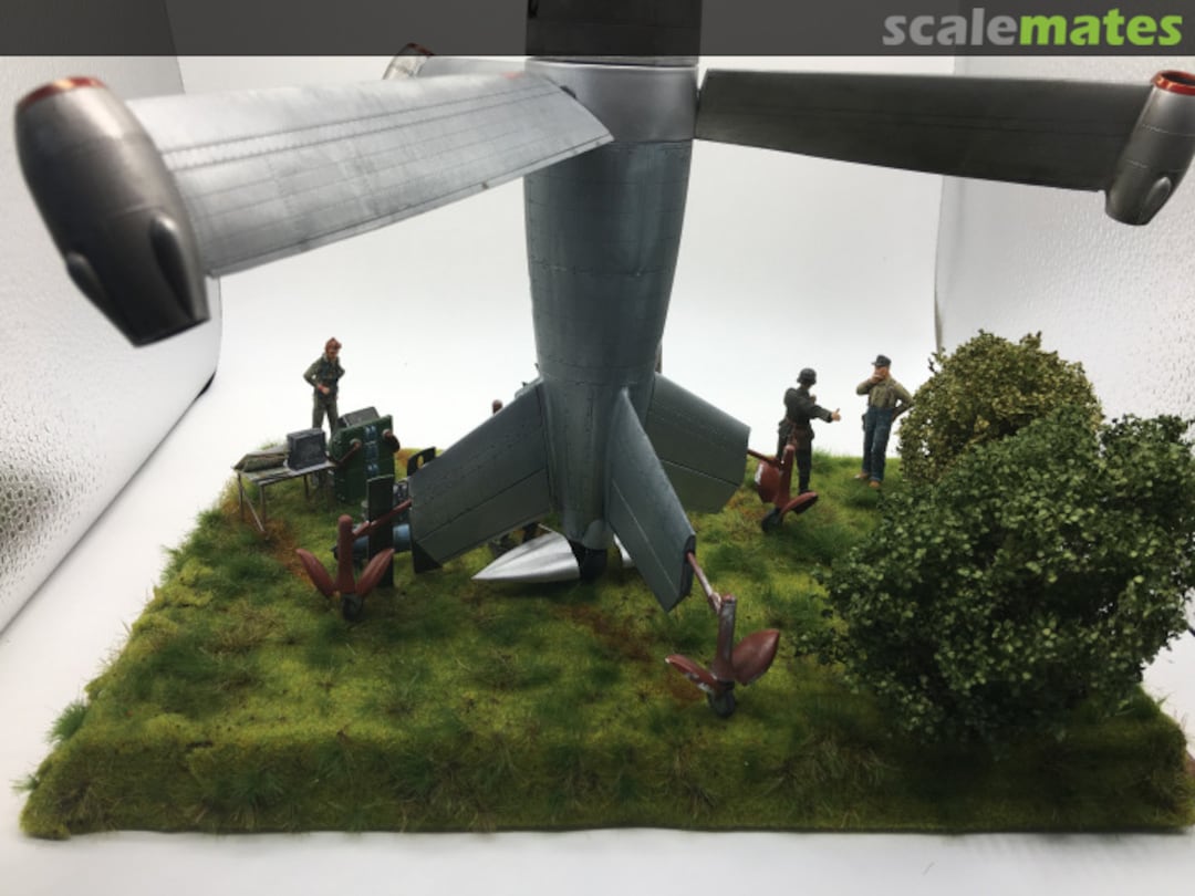 View album, image #21 View album, image #21