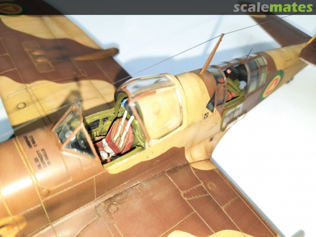 View album, image #1