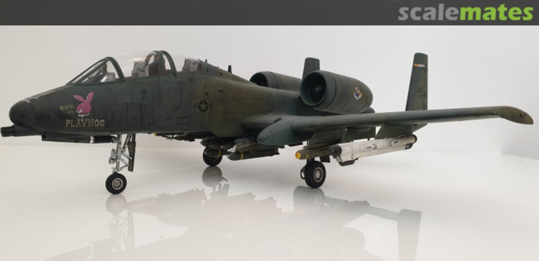 View album, image #31 View album, image #31