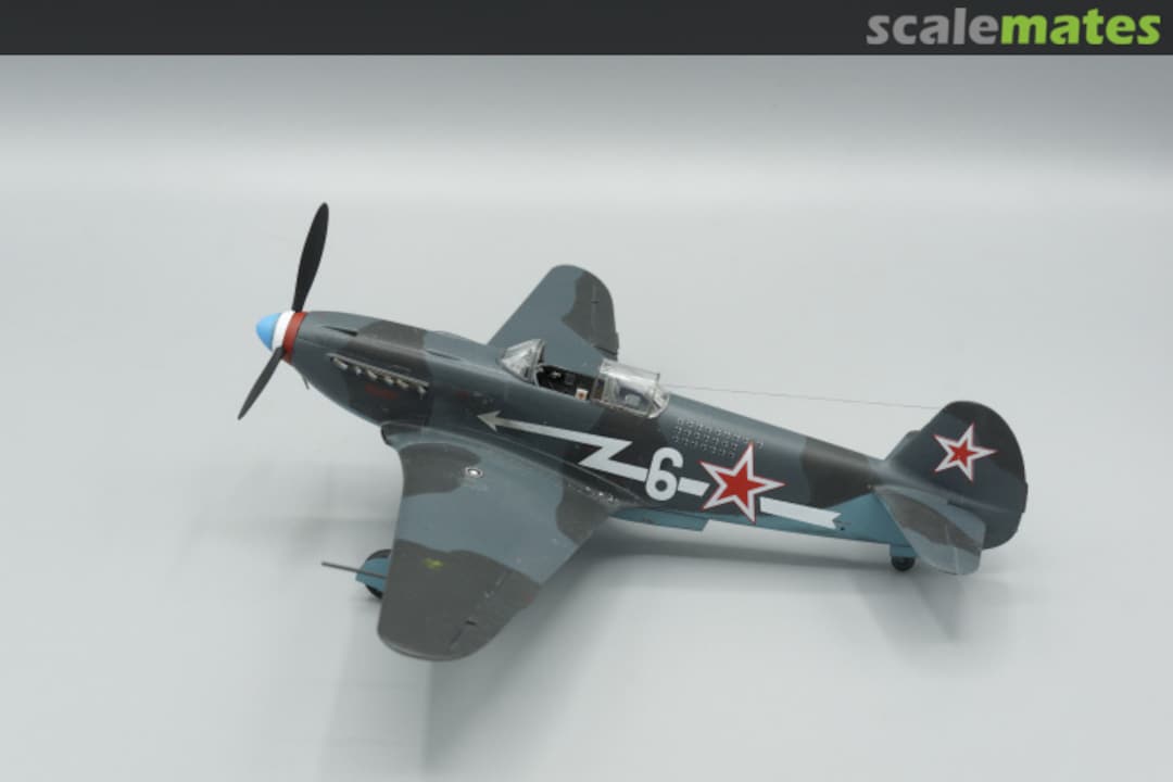 View album, image #1 View album, image #1