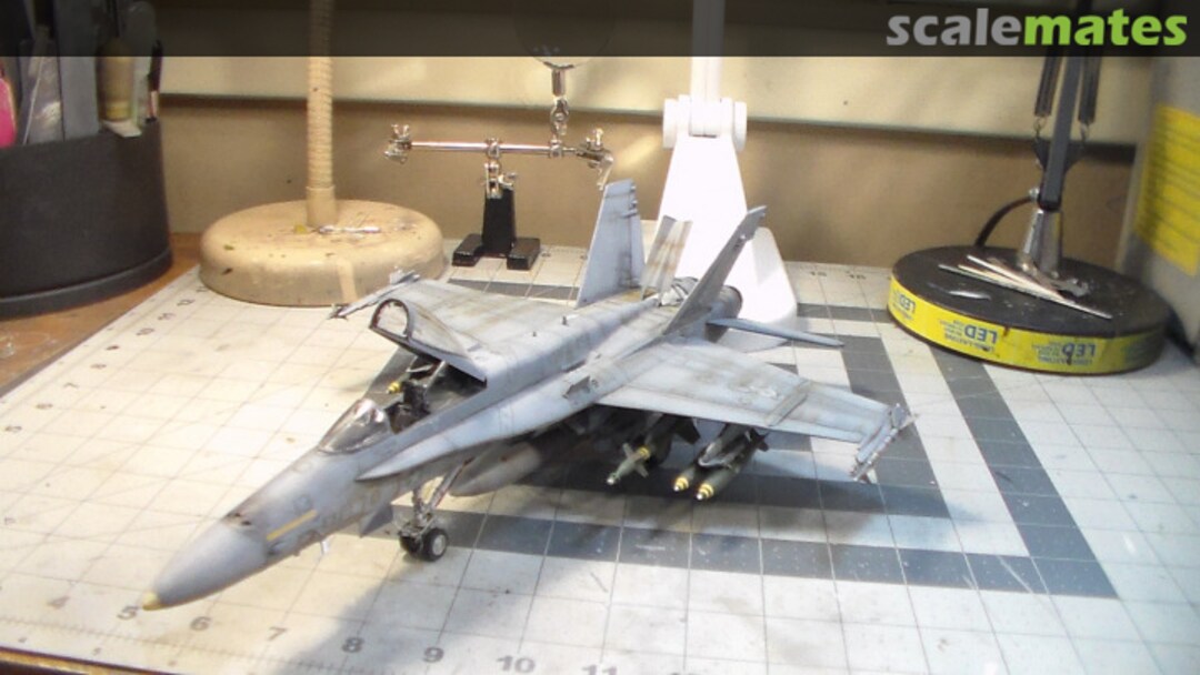 View album, image #1 View album, image #1