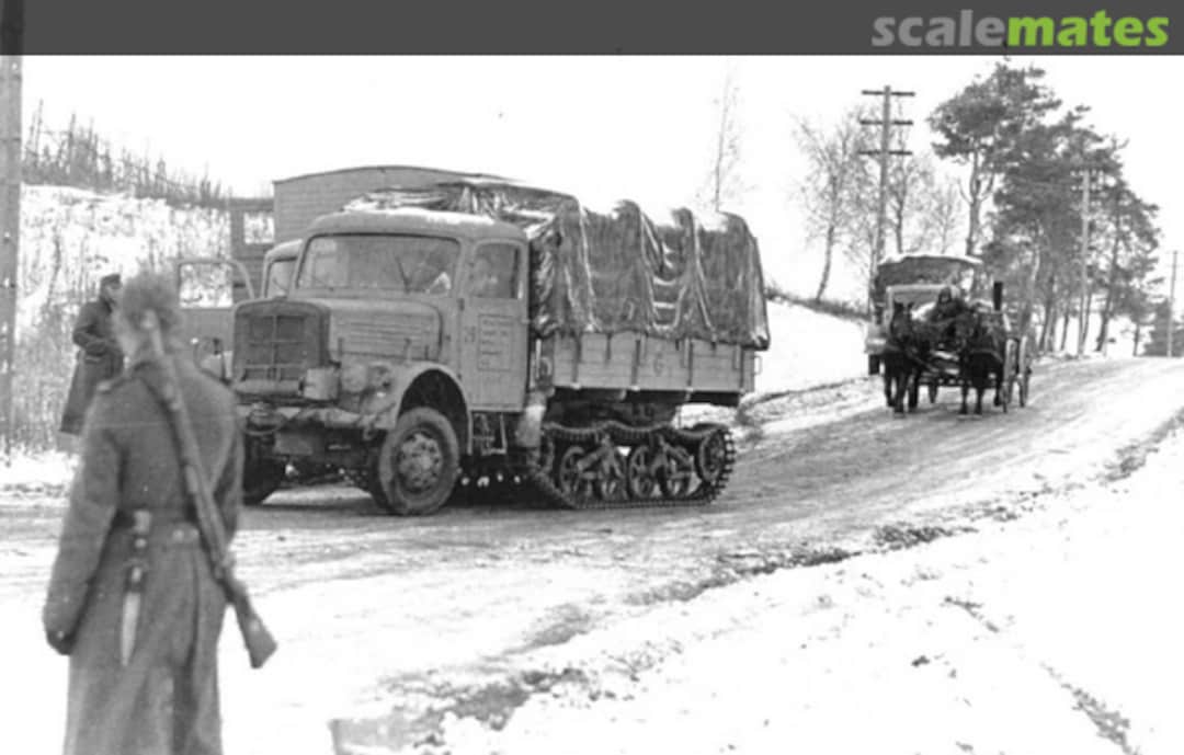 View album, image #12