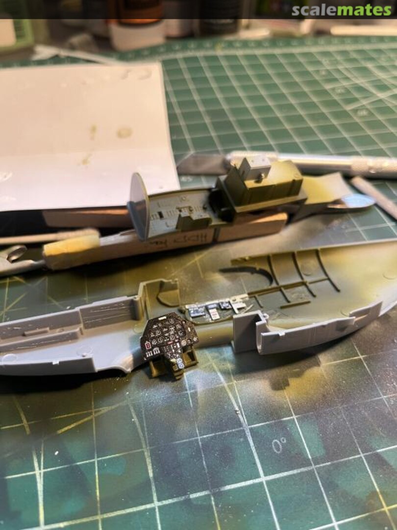 View album, image #1 View album, image #1