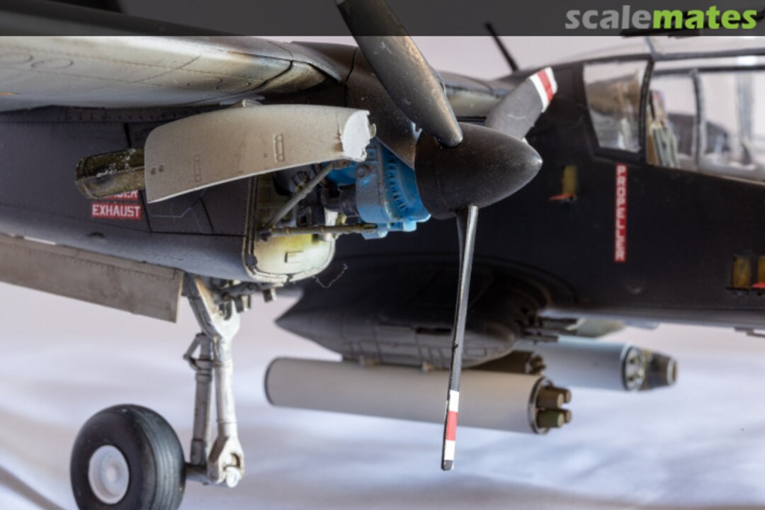 View album, image #1 View album, image #1