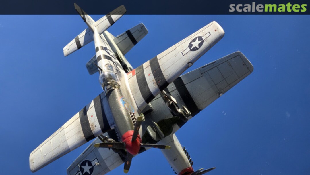 View album, image #25 View album, image #25