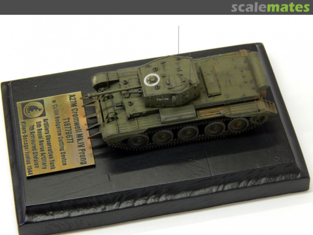 View album, image #9