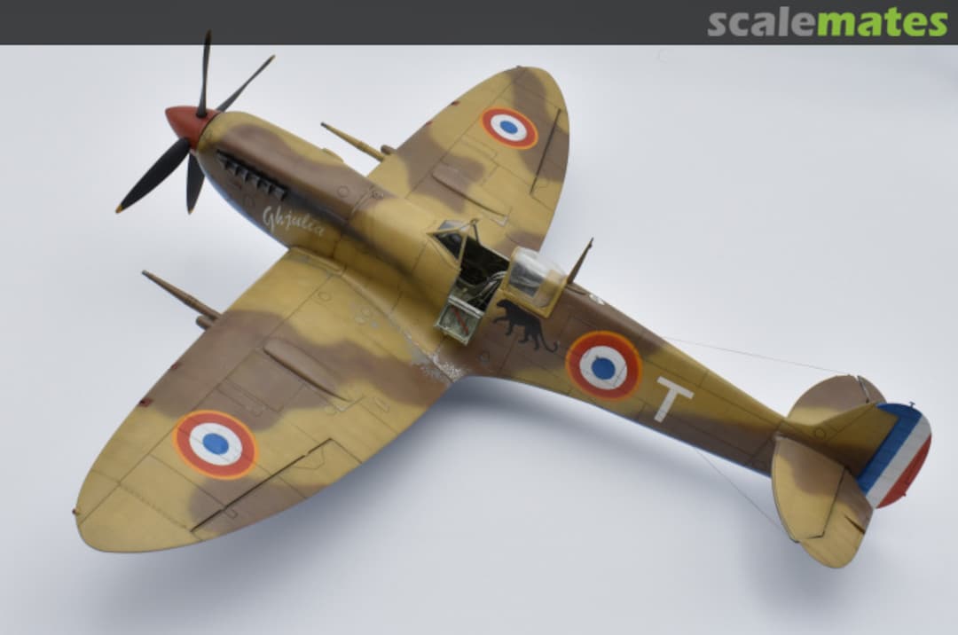 View album, image #1