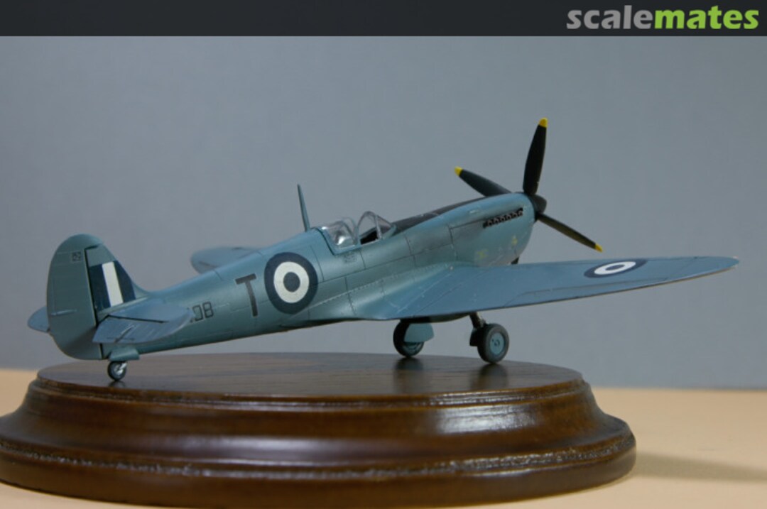 View album, image #3 View album, image #3