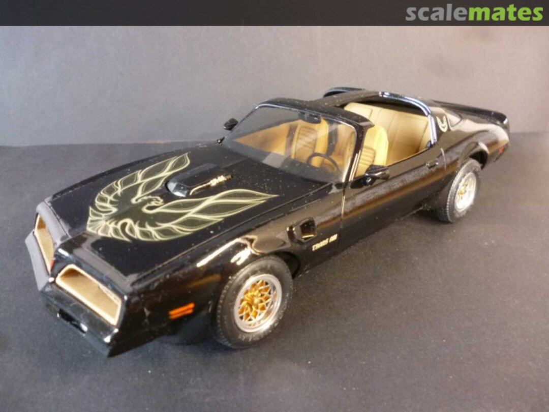 View album, image #1