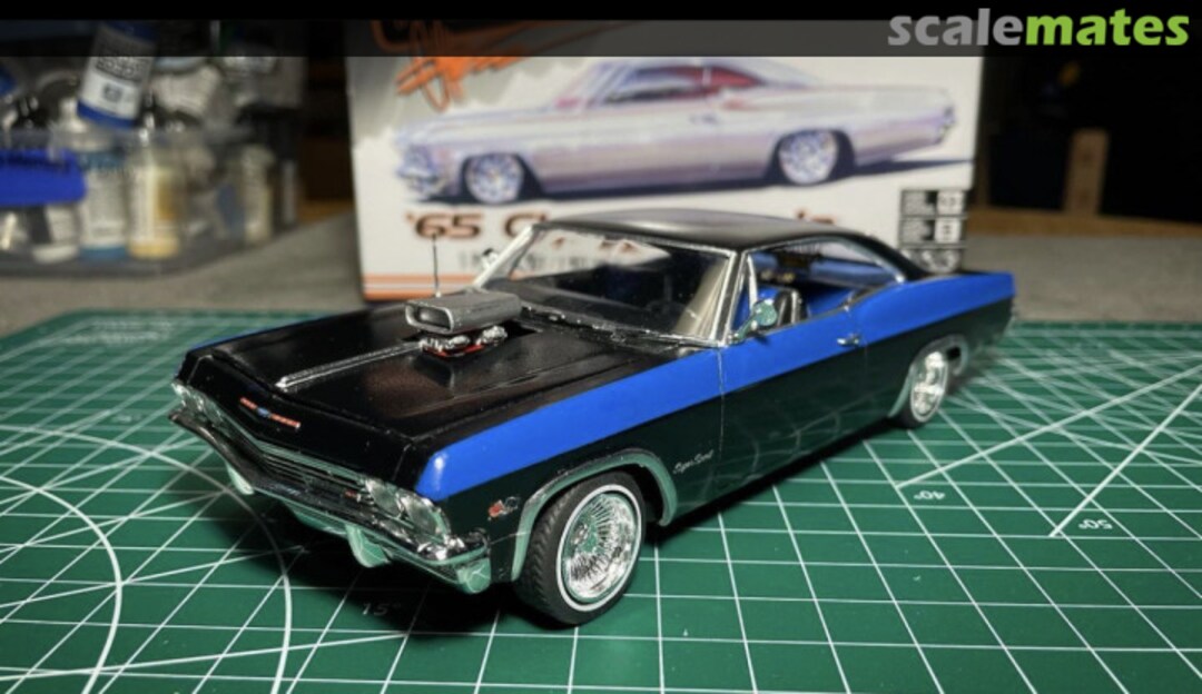 View album, image #1 View album, image #1