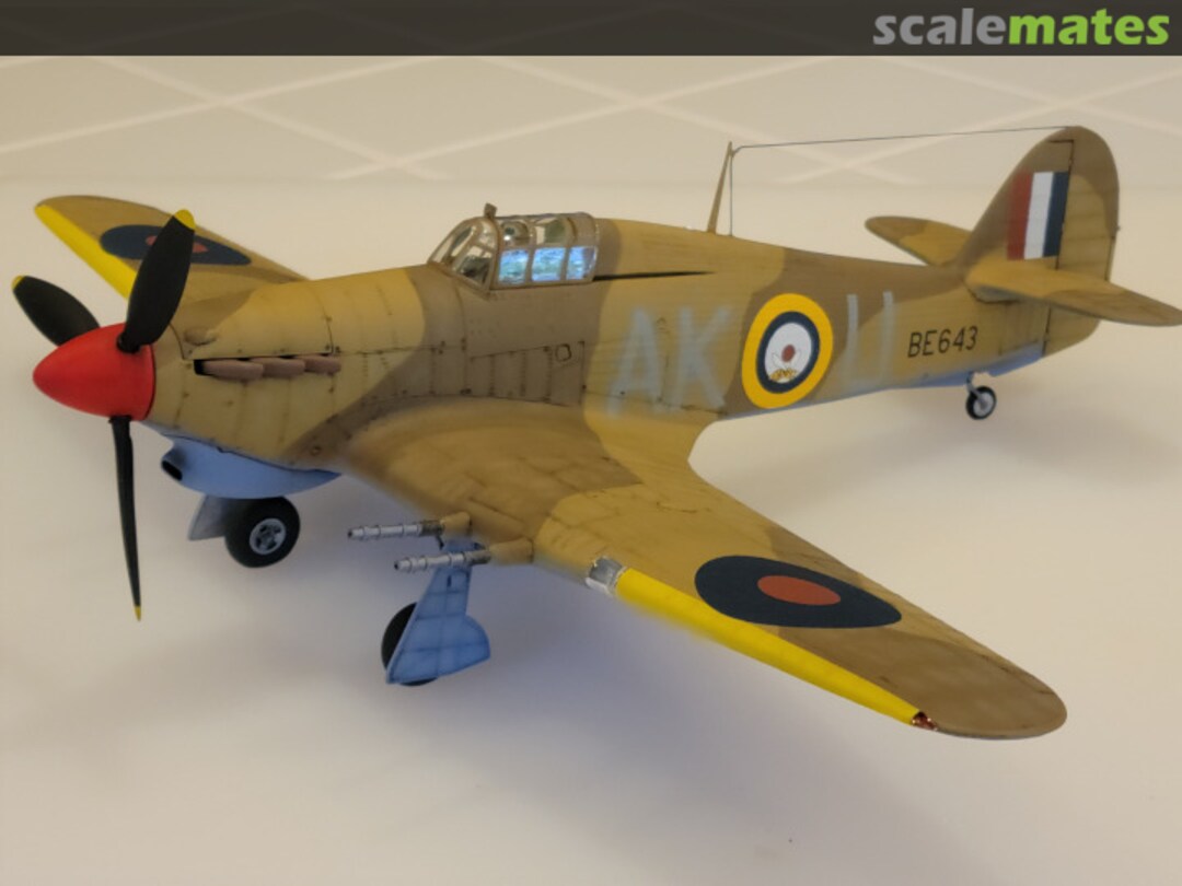 View album, image #1 View album, image #1