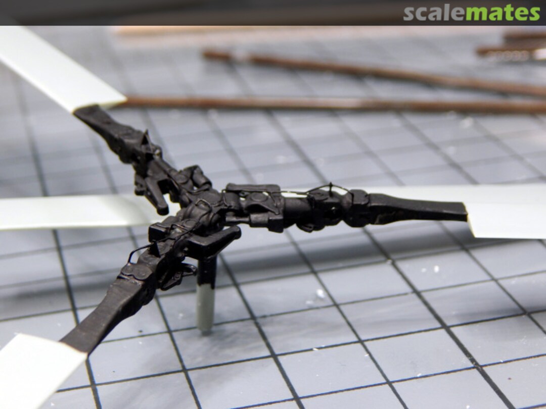 View album, image #1 View album, image #1