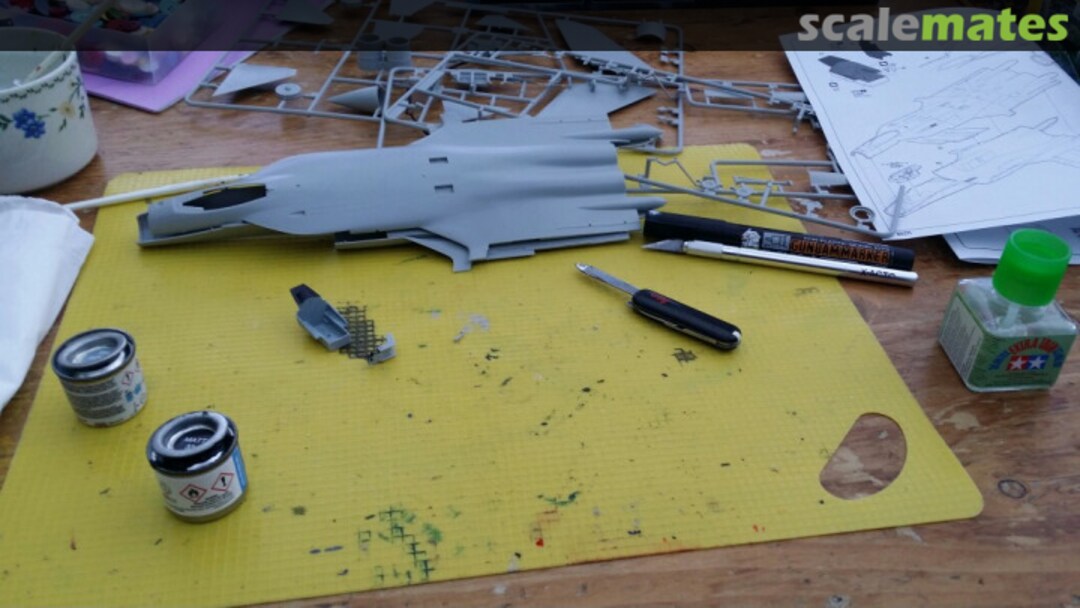 View album, image #1