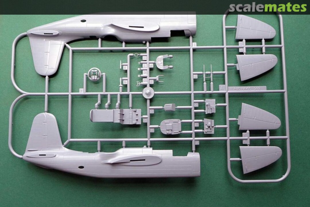 View album, image #1 View album, image #1