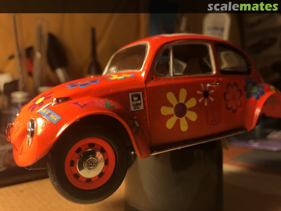 View album, image #10 View album, image #10