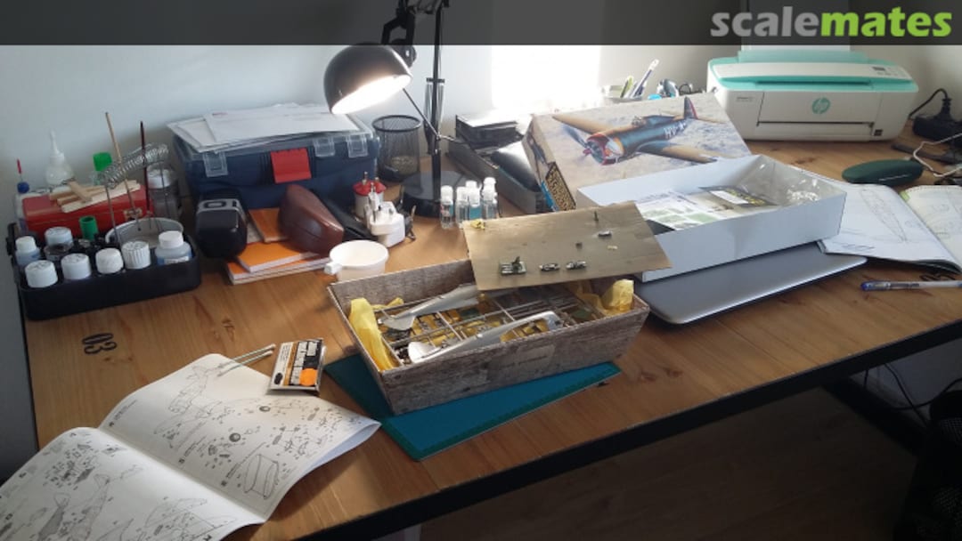 View album, image #1 View album, image #1