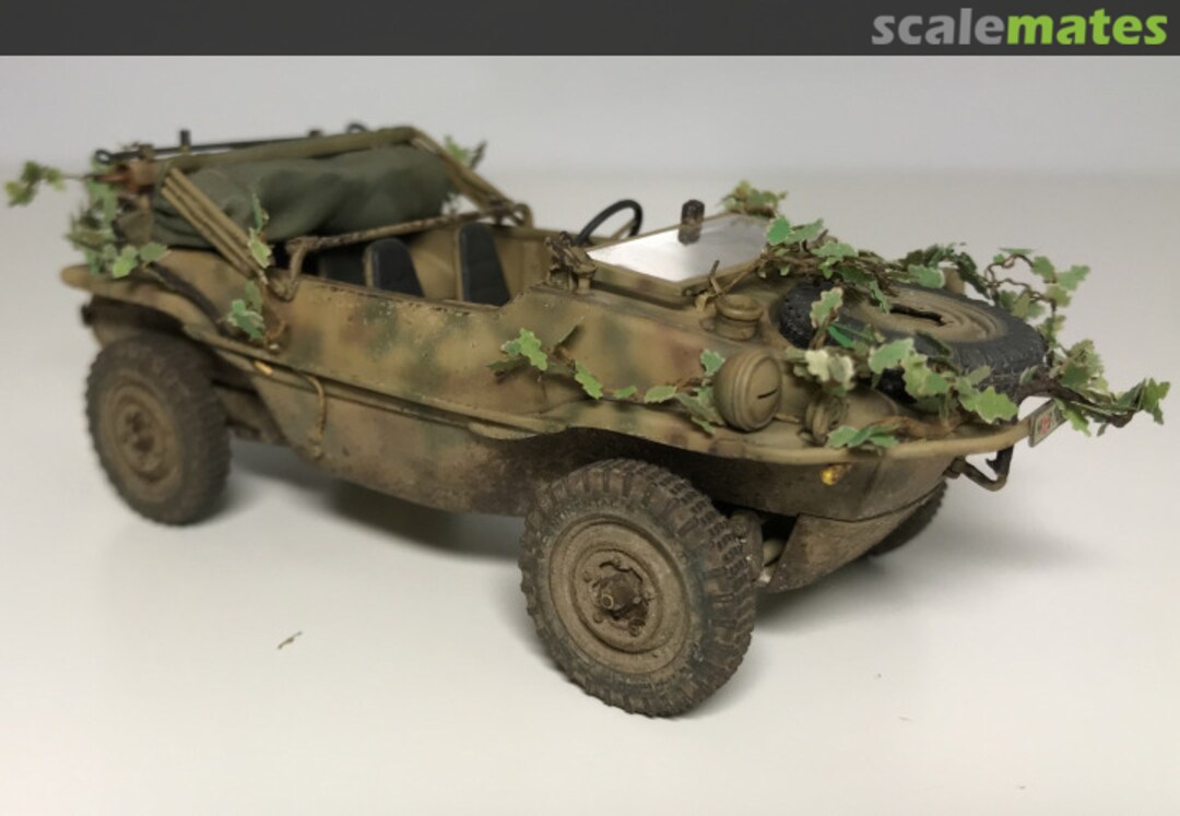 View album, image #1 View album, image #1