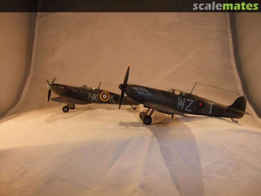 View album, image #1