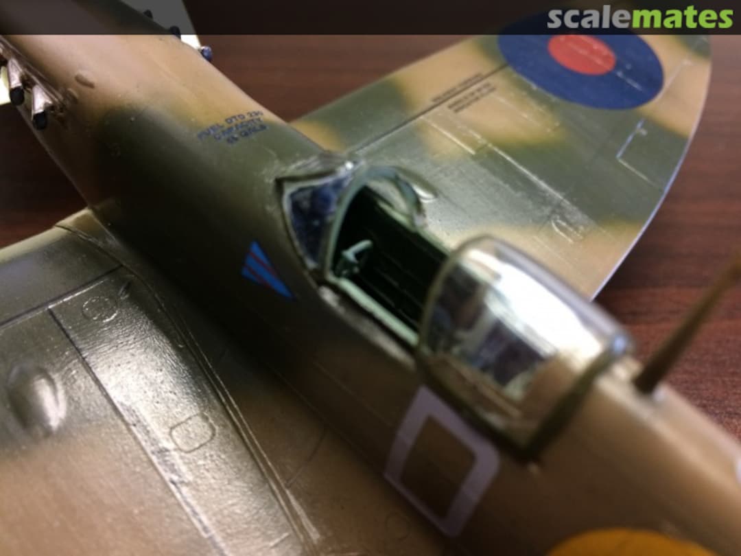 View album, image #1 View album, image #1