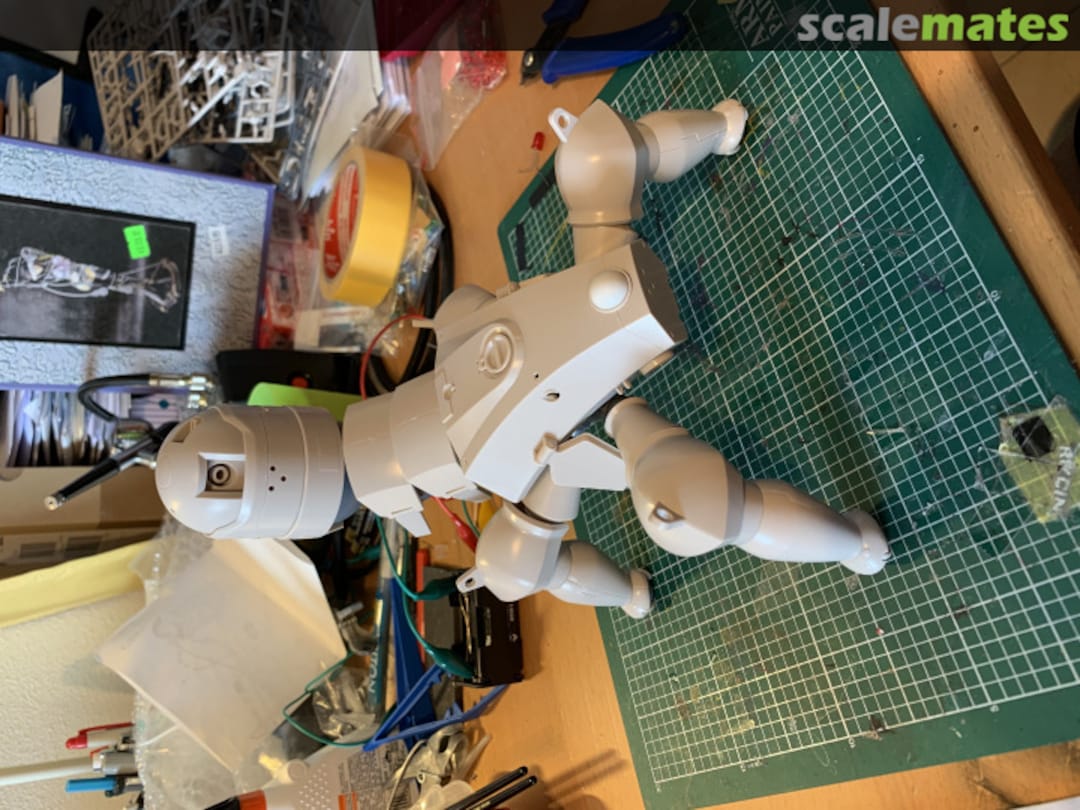 View album, image #1 View album, image #1