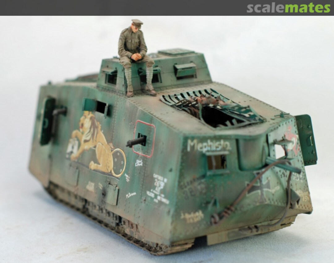 View album, image #1 View album, image #1