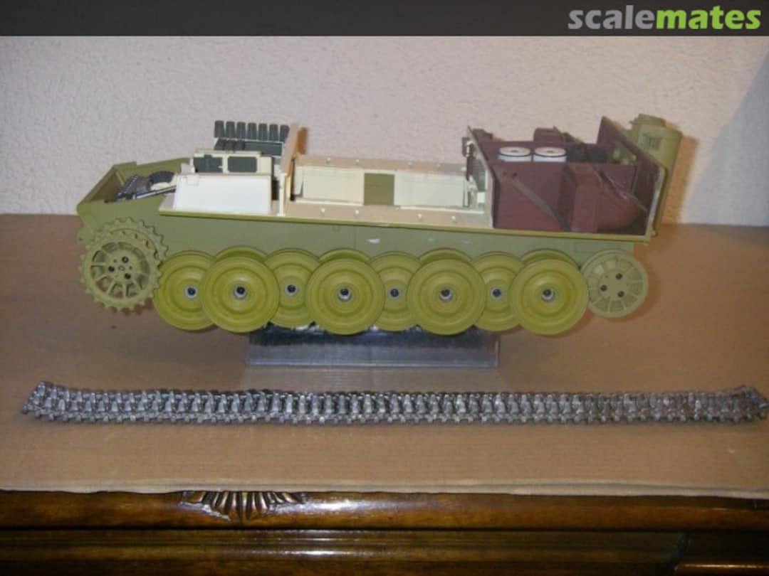 View album, image #1 View album, image #1