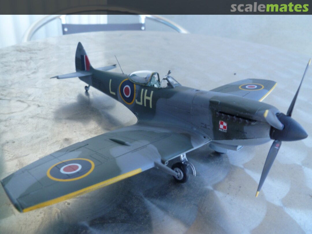 View album, image #1 View album, image #1