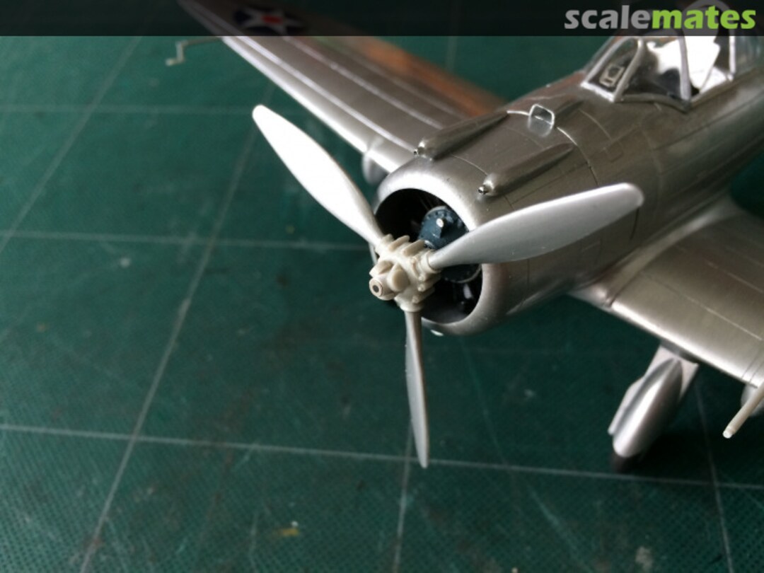 View album, image #38 View album, image #38