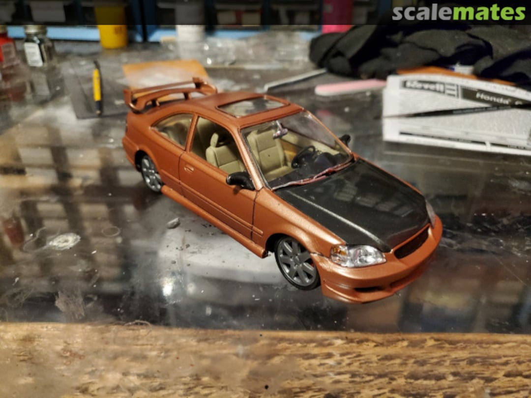 View album, image #20 View album, image #20