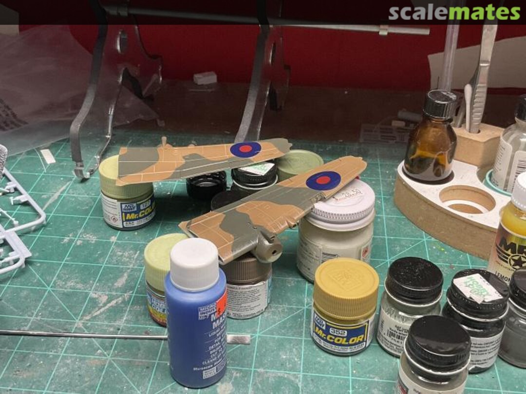 View album, image #1