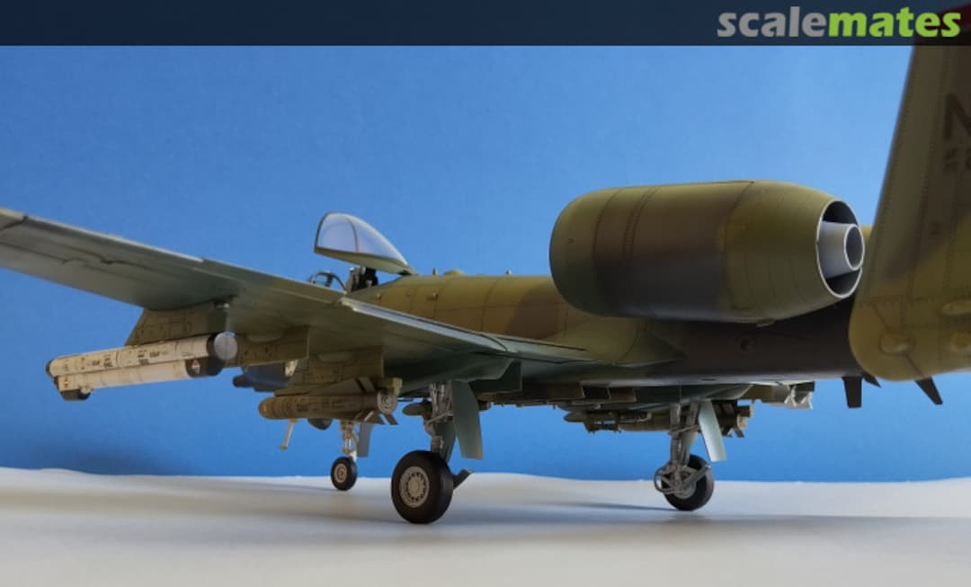 View album, image #13