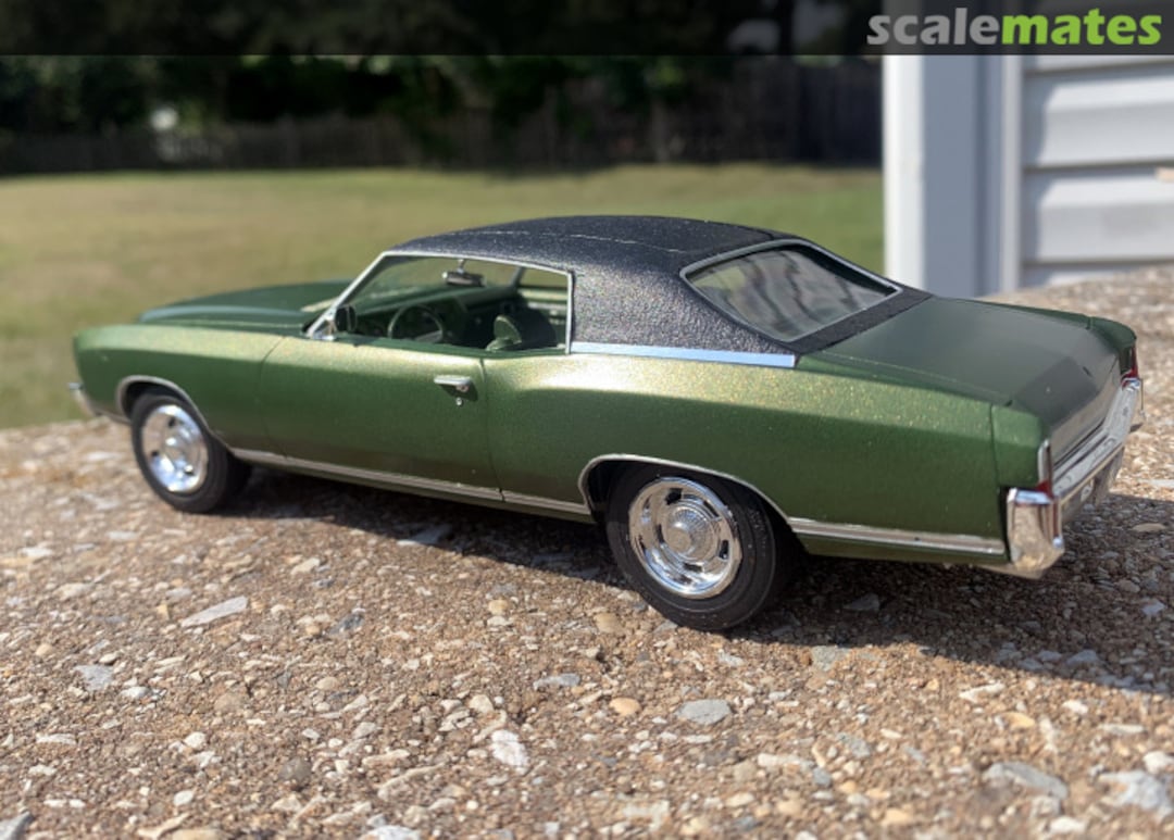 View album, image #10 View album, image #10