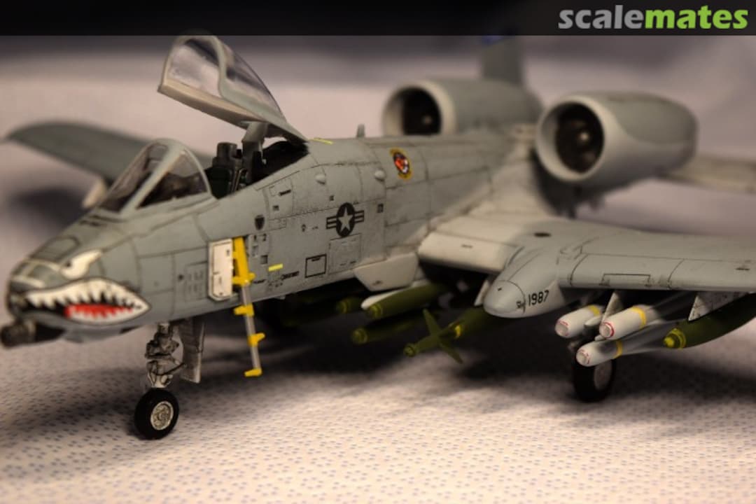 View album, image #1