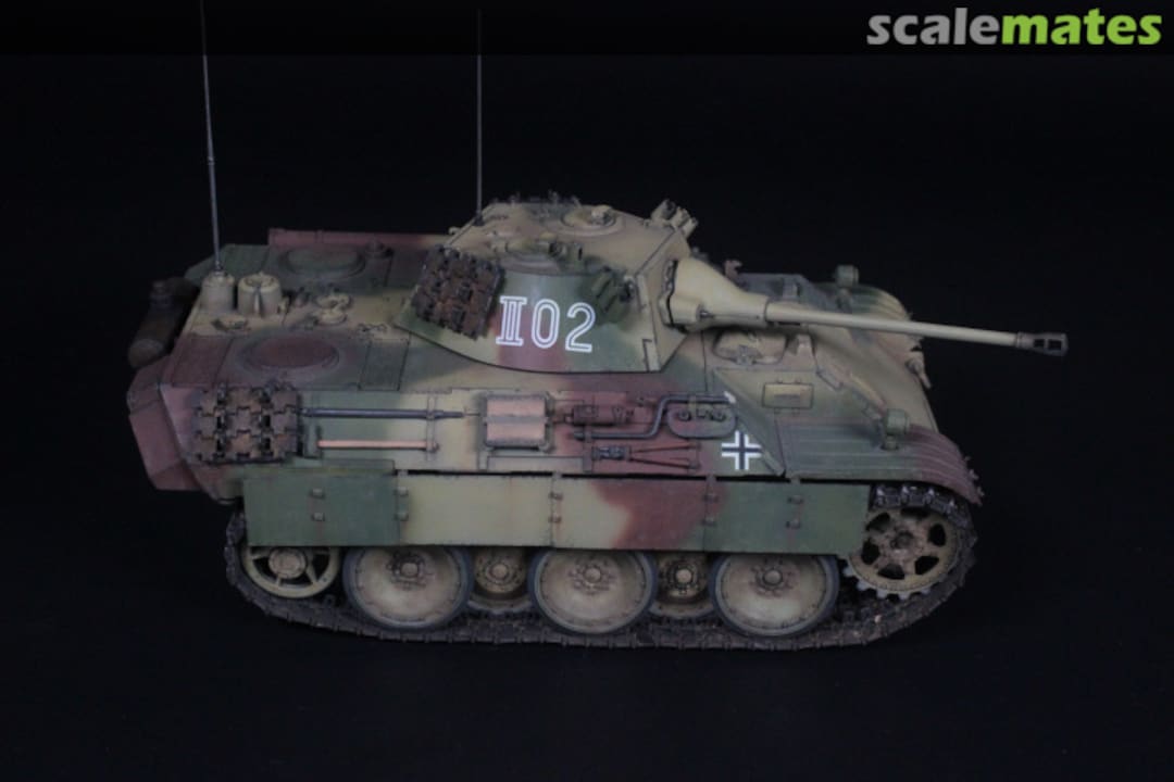 View album, image #1 View album, image #1