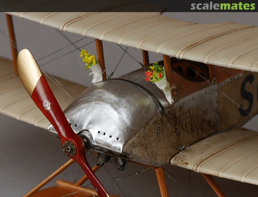 View album, image #112 View album, image #112