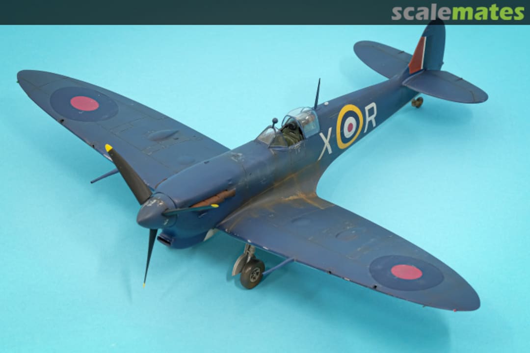 View album, image #1 View album, image #1