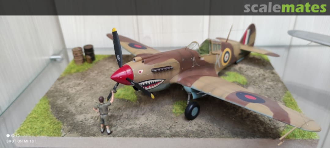 View album, image #1 View album, image #1