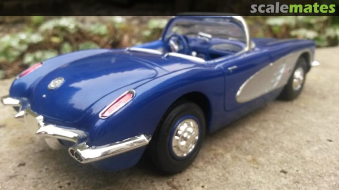 View album, image #1 View album, image #1