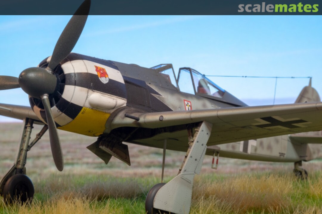 View album, image #1 View album, image #1