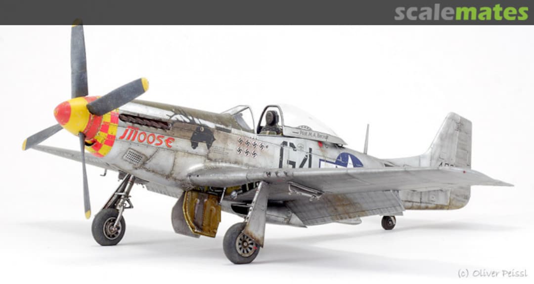 View album, image #1 View album, image #1